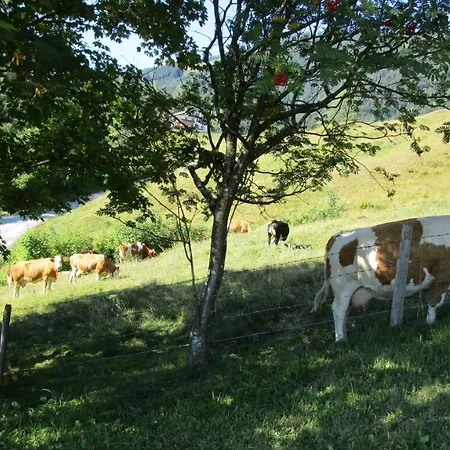 Englbrecht Apartament Krispl